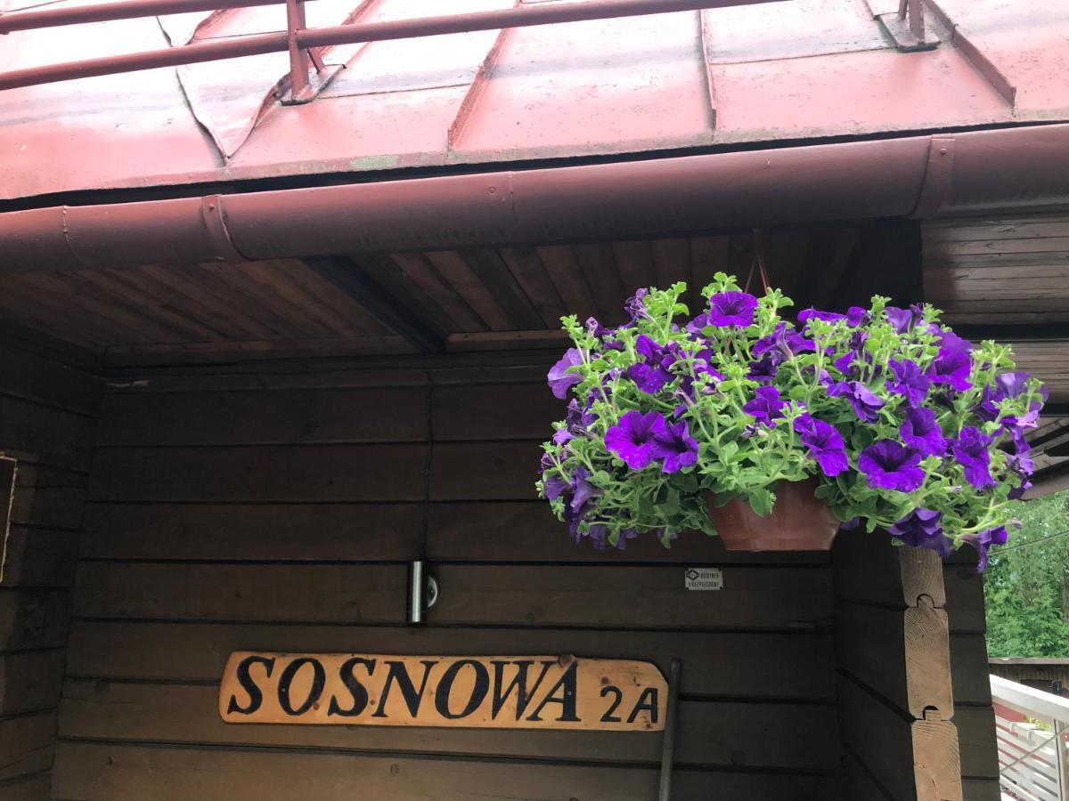 Villa Sosnowy Zakatek Wisła Esterno foto